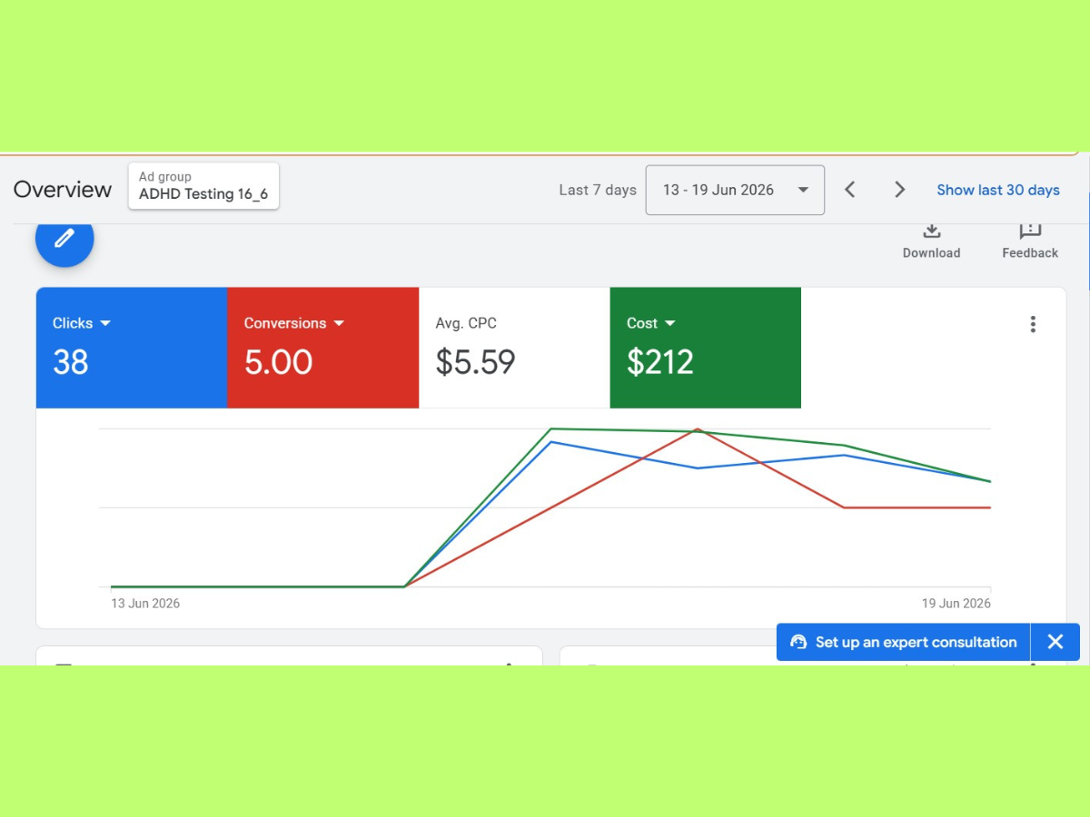 Freelance Google Ads Specialist campaign results for a local service business
